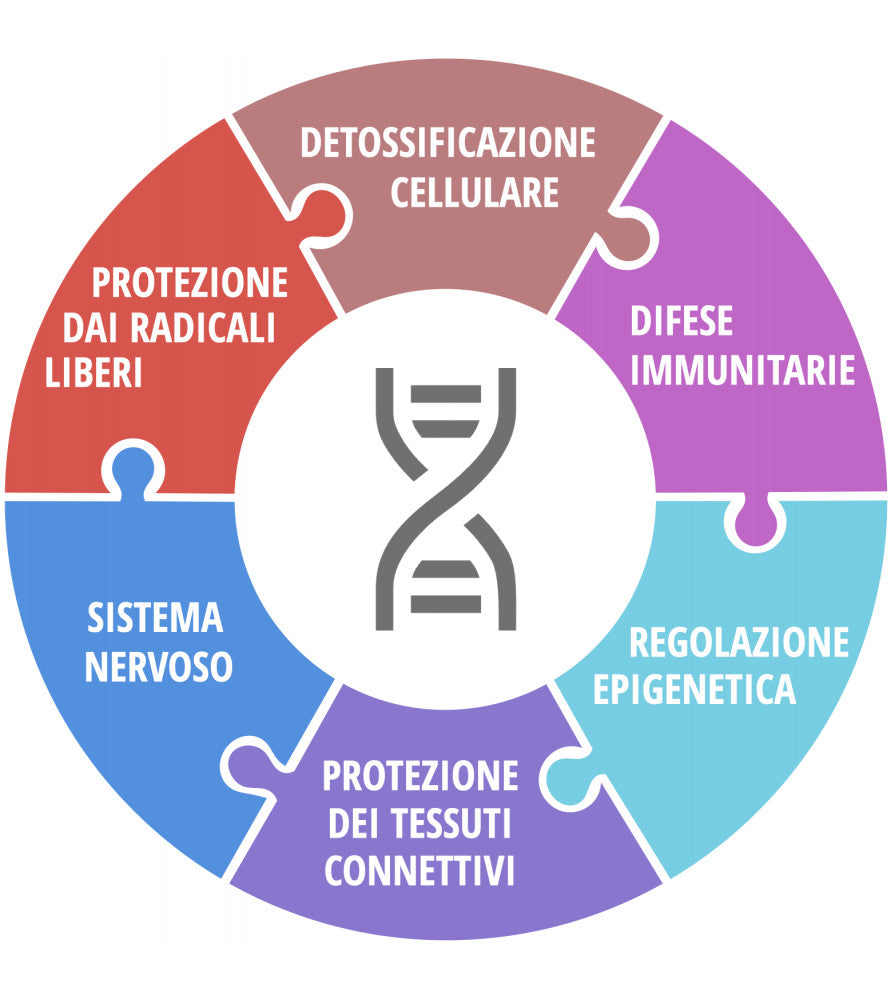 CELL PROTECT 146 GR 180 CPS