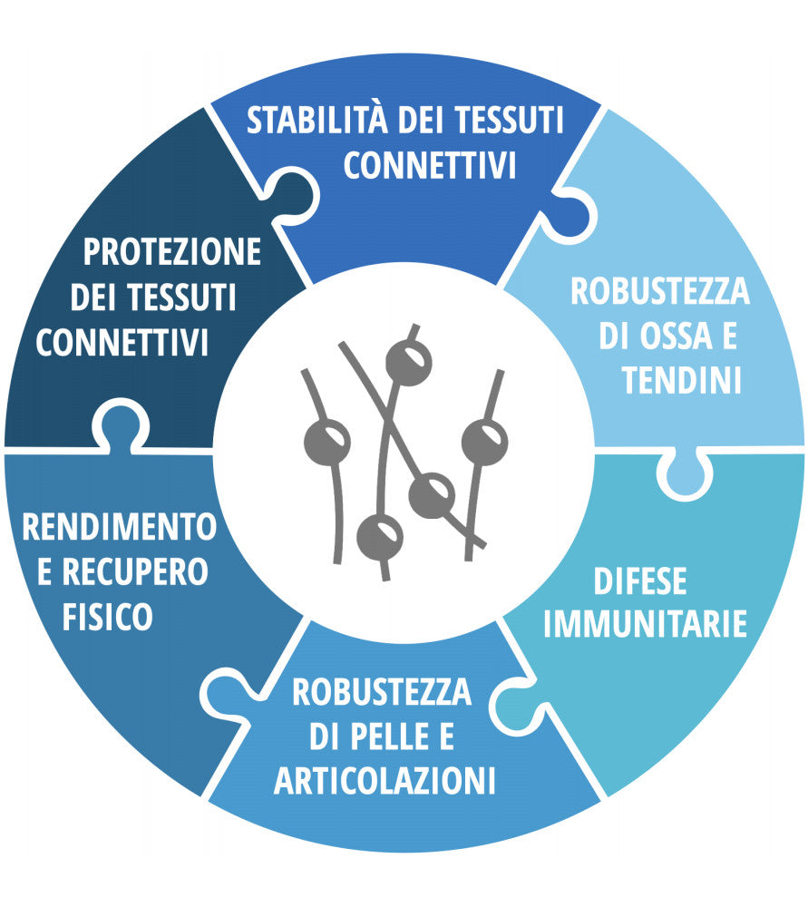 CELLVIT GUSTO AGRUMI 450 G
90 PORZIONI