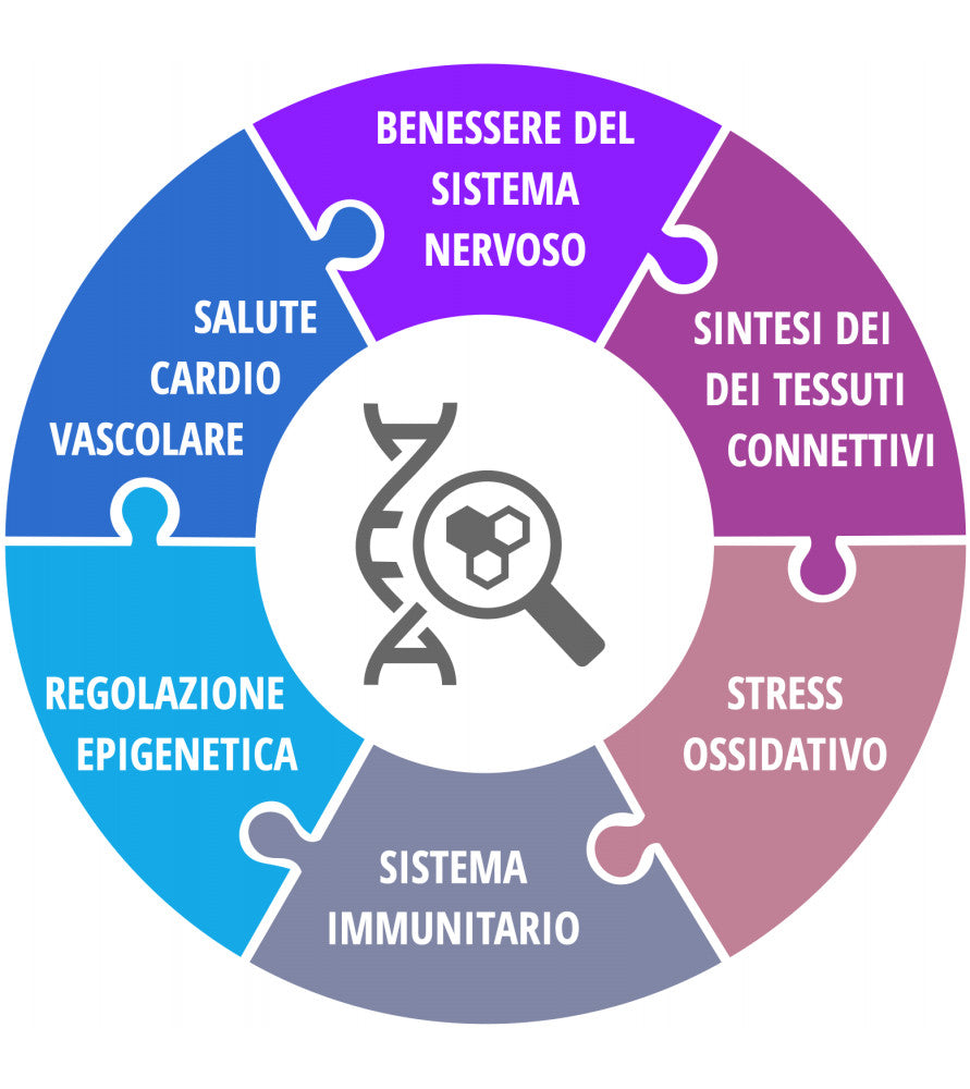 VITAL C 77,00 GR 90 CPS